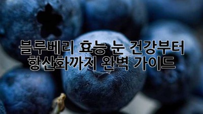 블루베리🫐 효능, 눈👀 건강부터 항산화✨까지 완벽 가이드!