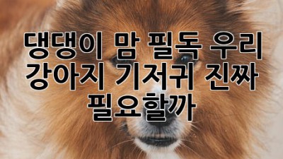댕댕이 맘 필독! 우리 강아지 기저귀, 진짜 필요할까? 🤔