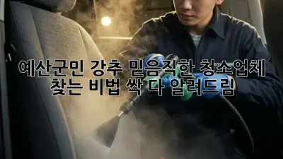🏡 예산군민 강추! 믿음직한 청소업체 찾는 비법 싹 다 알려드림 ✨